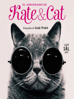 cover image of El Abecedario de Kate & Cat